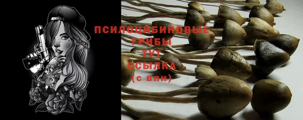 ГАЛЛЮЦИНОГЕННЫЕ ГРИБЫ Белоозёрский