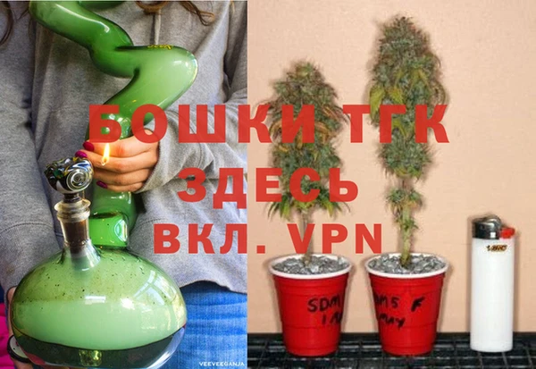 ПСИЛОЦИБИНОВЫЕ ГРИБЫ Бородино