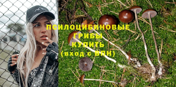 ECSTASY Белокуриха