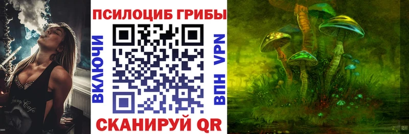 МЕГА   Белореченск  Псилоцибиновые грибы Psilocybe 